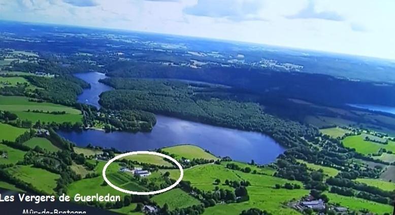 Les Reinettes - Les Vergers De Guerlédan Exterior foto